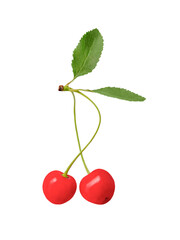 Two cherries on a stalk. Red, ripe cherry. Berries isolated.