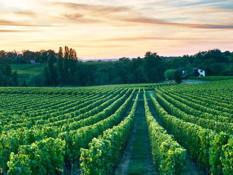 bordeaux_04