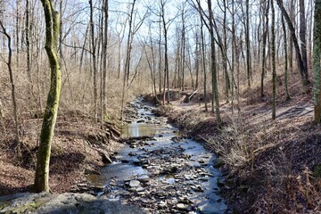 The flowing creek in the winter forest on a sunny day.