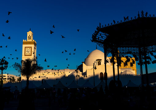 Djamaa el Djedid mosque, North Africa, Algiers, Algeria