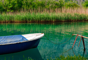 small blue boat for fishing berthed at river berth,  green reed plant environment background