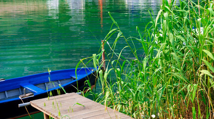 Fototapeta na wymiar small blue boat for fishing berthed at river berth, green reed plant environment background