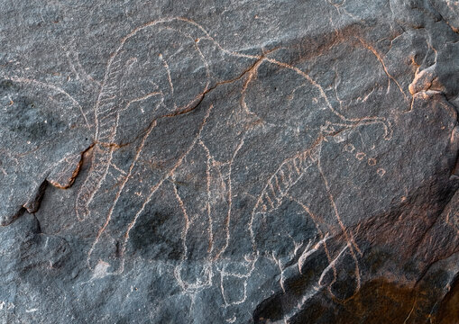Rock carvings depicting elephant pooing, Tassili N'Ajjer National Park, Tadrart Rouge, Algeria