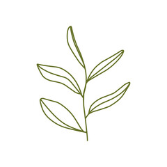 Fototapeta premium Cute vector illustration green branch with leaves in cartoon style 