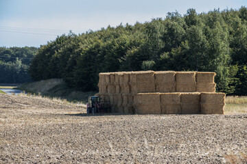 Square hay bales stacked in a field with a tractor beside it - 567079589