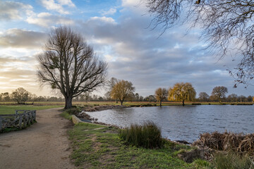 Dawn of February in Surrey UK
