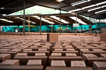 Brick production plant