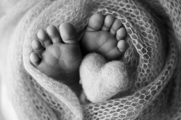 The tiny foot of a newborn baby. Soft feet of a new born in a wool blanket. Closeup of toes, heels and feet of a newborn. Knitted heart in the legs of baby. Macro studio photography. Black and white.