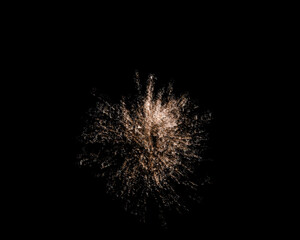 Fototapeta premium firework in the night sky