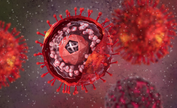 Medical background, herpes simplex virus type one, herpesvirus family that causes oral herpes in humans, realistic 3D structure diagram, 3D rendering