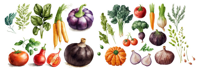 lot de légumes isolés, illustrations sur fond blanc