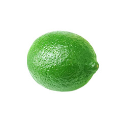 ライム イラスト リアル