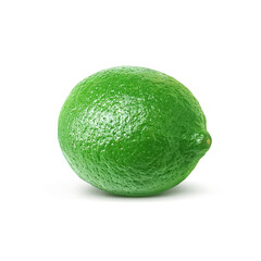 リアルなライムのイラスト