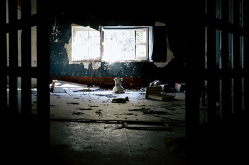 casa abandonada // abandoned house - obrazy, fototapety, plakaty