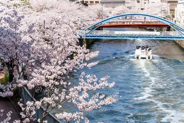 桜と船と目黒川
