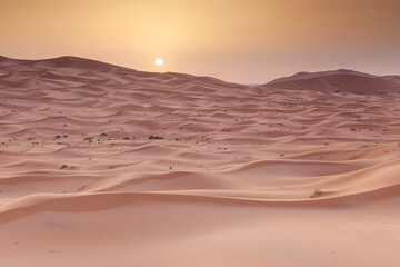 Red sand dunes in the Sahara desert at Erg Chebbi, Merzouga. Morocco