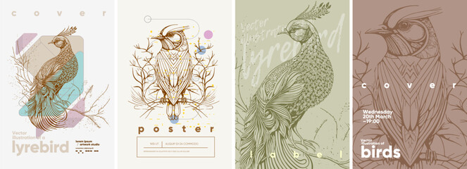 Lyrebird. Abstract geometric background. Engraving style. Typography posters design. Simple pencil drawing. Set of flat vector illustrations. Print, banner, label, cover or t-shirt.