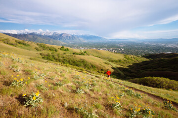 Julie Elliot enjoying an evening run along the Bonneville shoreline trail above Salt Lake City, Utah