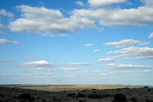 Roswell UFO Festival