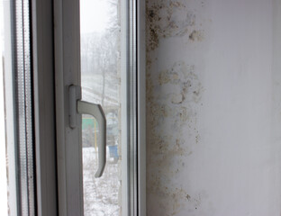 The slope near the window is covered with moisture stains, fungus covers the wall. Black mold with yellow spots on a white wall