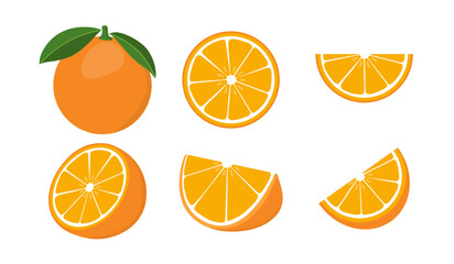 Set of fresh oranges. Orange fruit isolated on white background. Vector illustration for design and print, web