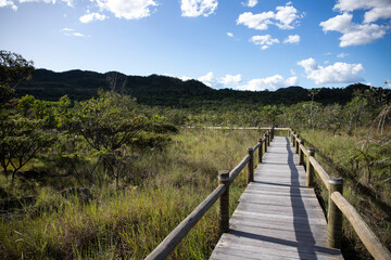 Landscape of the Brazilian Cerrado. Chapada dos Veadeiros National Park, typical vegetation of Alto Paraíso de Goiás. Wooden bridge for pedestrian access. Mountain in the background.
