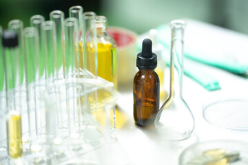 Researchers pouring hemp oil into a science glass tube, Chemist extracting cbd with rotavapor in laboratory, That will lead to the conceptual experiment of alternative medicine experimental