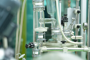 Researchers pouring hemp oil into a science glass tube, Chemist extracting cbd with rotavapor in laboratory, That will lead to the conceptual experiment of alternative medicine experimental