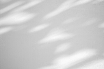 Obraz premium Abstract natural tree leaves shadow on white wall background