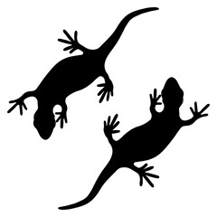 Set of lizards reptile gecko black silhouette vector illustration. Simple black silhouette illustration isolated on white background. Template for books, stickers, posters, cards, clothes.