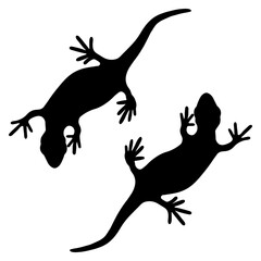 Set of lizards reptile gecko black silhouette vector illustration. Simple black silhouette illustration isolated on white background. Template for books, stickers, posters, cards, clothes.