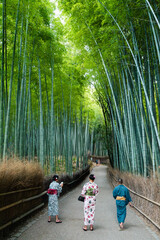 family walking in the bamboo forest