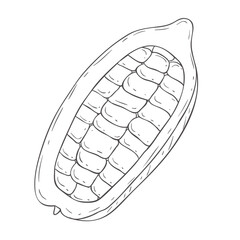 Line Art Cocoa. Vector Illustration on white Background.