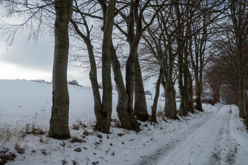 Verschneite Straße in der Eifel