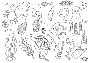 Vector illustration with various animals and marine objects. Background of the underwater life of the sea or ocean. Concept elements. Vector illustration