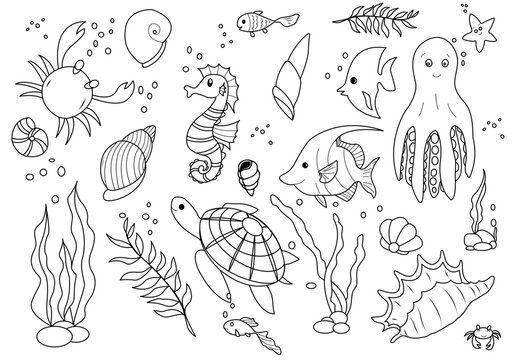 Vector illustration with various animals and marine objects. Background of the underwater life of the sea or ocean. Concept elements. Vector illustration