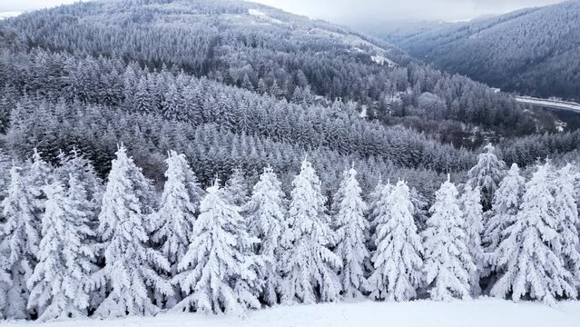 Panoramic winter drone view of the mountains in the forest. Cinematic winter snowy forest. Forests covered with snow. A cinematic suburban landscape.