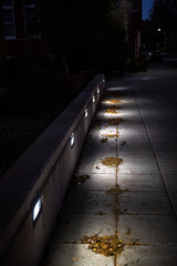 Illuminated Walkway at Night in Fall