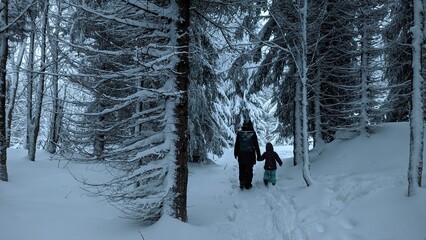 Mutter und Kind gehen allein durch den Wald - obrazy, fototapety, plakaty