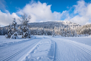 Le lac de Lispach sous la neige en hiver (La Bresse / Vosges)
