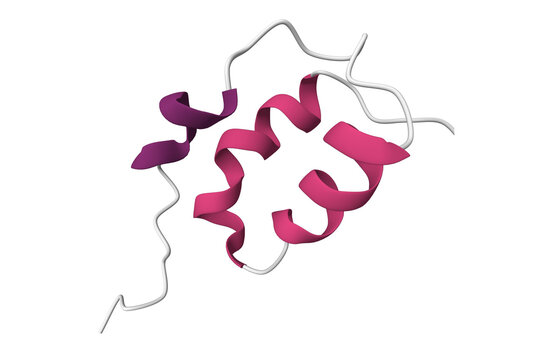Structure of mouse pheromone ESP1. 3D cartoon model, secondary structure color scheme, PDB 2lmk