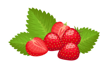 Vector strawberry isolated on white background