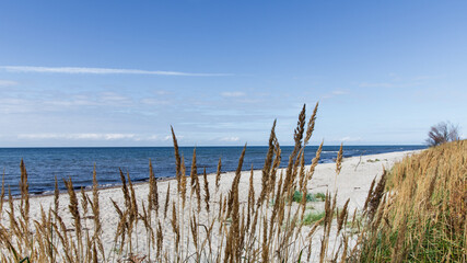 Dar&szlig;er Weststrand 41