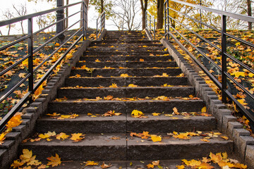 Stairs in an autumn park covered with yellow leaves on a clear autumn day. Park.