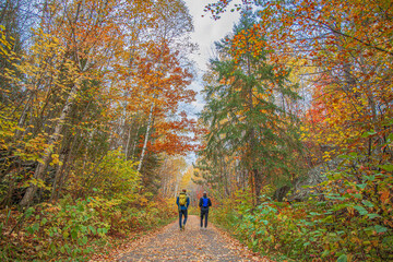 Fototapeta premium Two men walking in Minnesota 