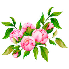 Watercolor composition with pink peonies. Botanical illustration. Wedding, Valentine's Day, birthday, anniversary design.
