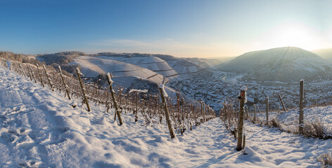 Schneebedeckte Weinberge oberhalb von Dernau an der Ahr