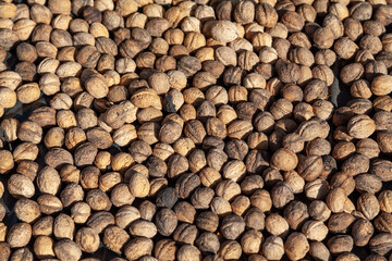 Walnuts lie black on background