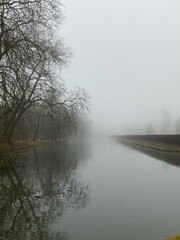 Un matin d'hiver sous une brume dans un parcs.