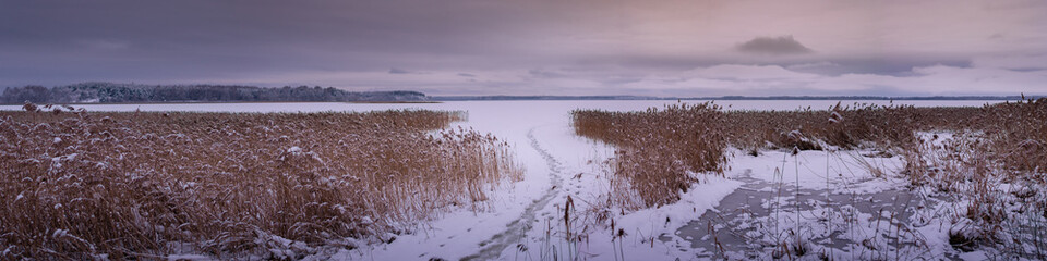 winter frozen lake with coastal reed and footpath under cloudy sky at evening twilight. widescreen panoramic view